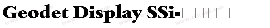 Geodet Display SSi字体转换